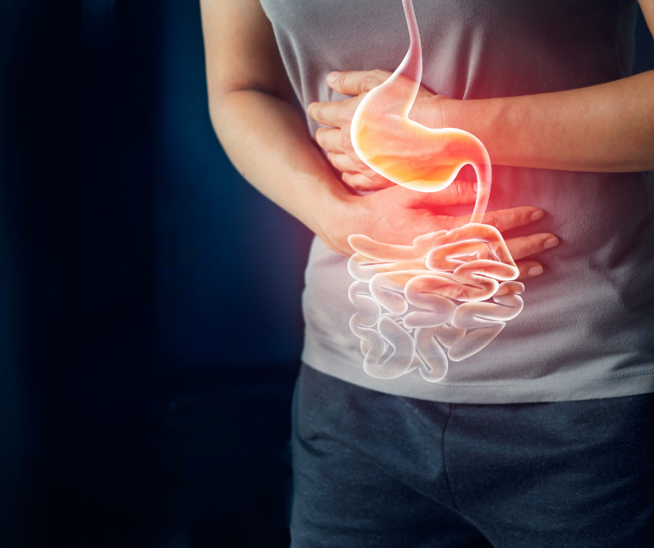 Intestino e Emoções: Como o Estresse Afeta Sua Digestão
