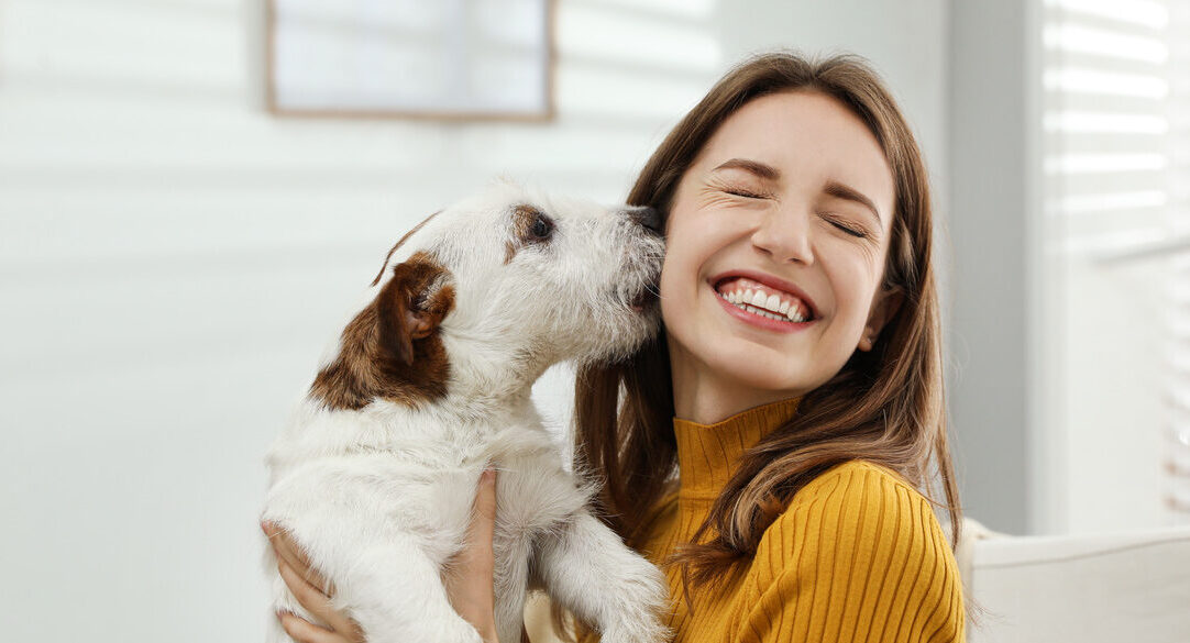 Cachorros felizes: por que eles te recebem com festa?