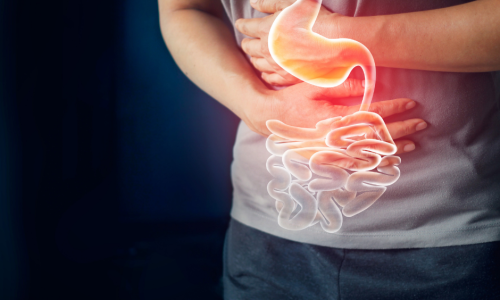 Intestino e Emoções: Como o Estresse Afeta Sua Digestão