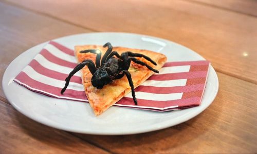 Você comeria larvas e aranhas por dinheiro? Reality da Netflix testa os limites