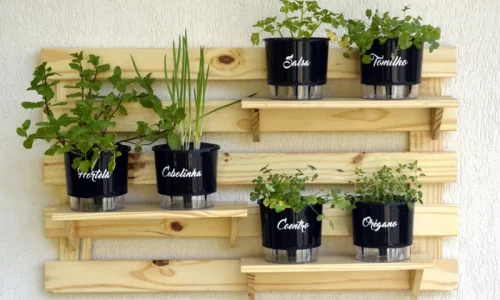 Como Ter Uma Horta Vertical em Qualquer Espaço!