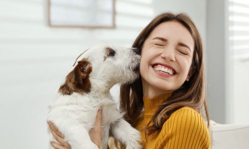 Cachorros felizes: por que eles te recebem com festa?